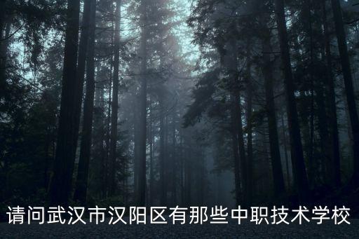 请问武汉市汉阳区有那些中职技术学校