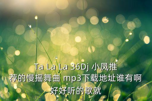 Ta La La 36Dj 小凤推荐的慢摇舞曲 mp3下载地址谁有啊好好听的歌就