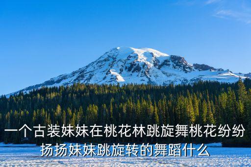 一个古装妹妹在桃花林跳旋舞桃花纷纷扬扬妹妹跳旋转的舞蹈什么