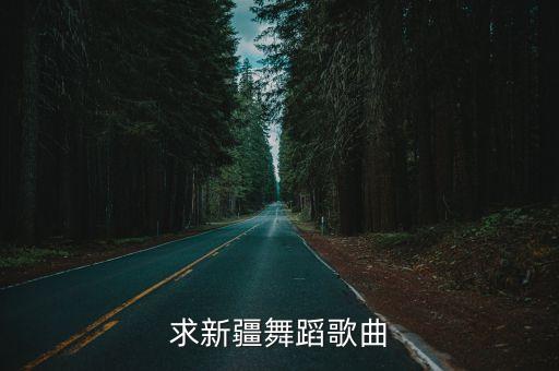 求新疆舞蹈歌曲