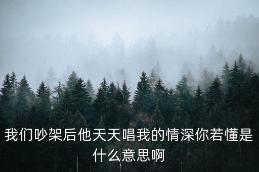 我们吵架后他天天唱我的情深你若懂是什么意思啊