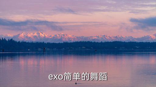 exo简单的舞蹈
