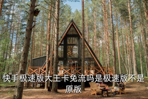 2023年最新版快手极速版，快手极速版大王卡免流吗是极速版不是原版