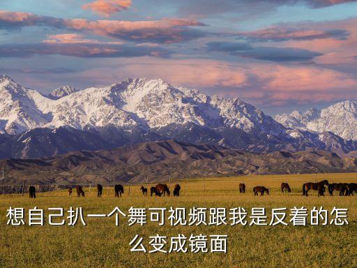 想自己扒一个舞可视频跟我是反着的怎么变成镜面