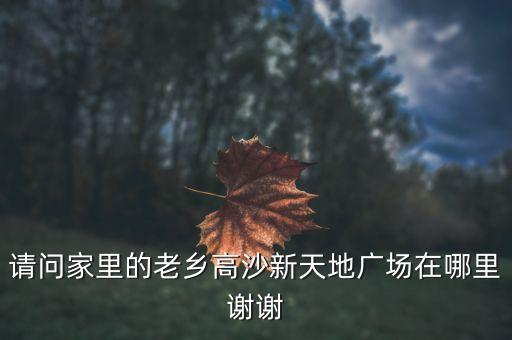 请问家里的老乡高沙新天地广场在哪里谢谢