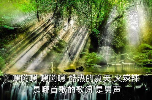 嘿哟嘿 嘿哟嘿 酷热的夏天 火辣辣 是哪首歌的歌词 是男声