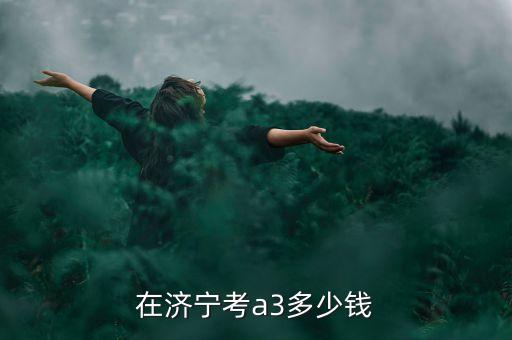 在济宁考a3多少钱