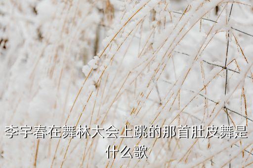 吉米吉米阿加阿加叫什么歌，李宇春在舞林大会上跳的那首肚皮舞是什么歌