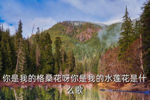 你是我的格桑花呀你是我的水莲花是什么歌