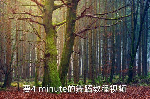 要4 minute的舞蹈教程视频