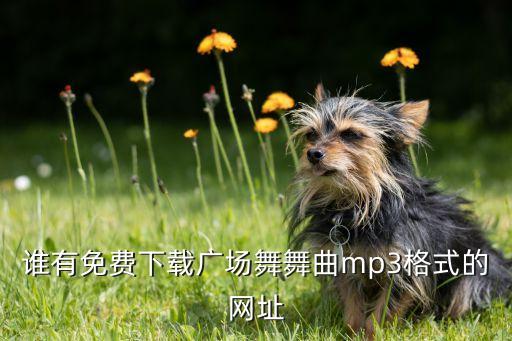 谁有免费下载广场舞舞曲mp3格式的网址