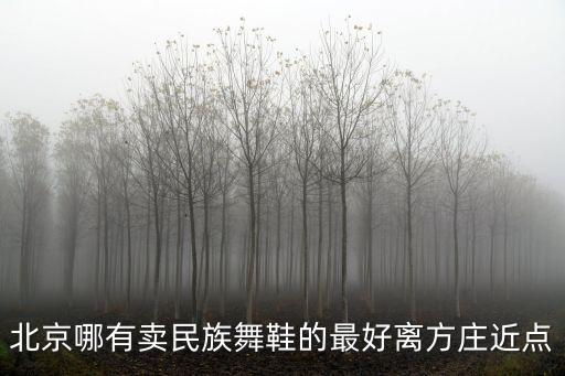 北京哪有卖民族舞鞋的最好离方庄近点