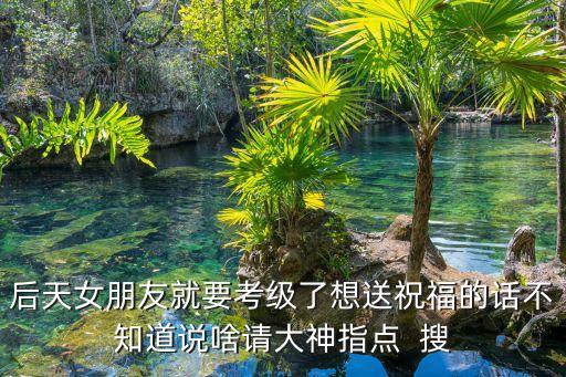 女儿舞蹈考级文案，后天女朋友就要考级了想送祝福的话不知道说啥请大神指点  搜