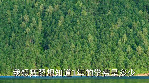 我想舞蹈想知道1年的学费是多少