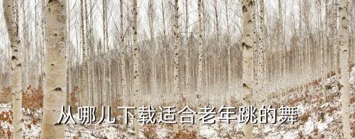 老年舞蹈视频大全集，从哪儿下载适合老年跳的舞