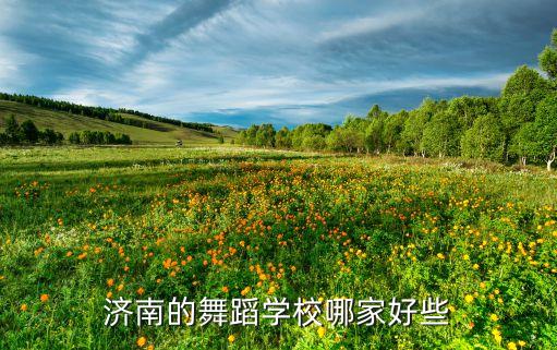 济南的舞蹈学校哪家好些