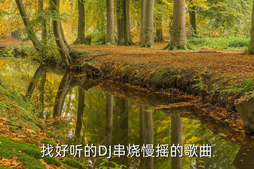 音乐在线听dj2019串烧，好听的dj串烧