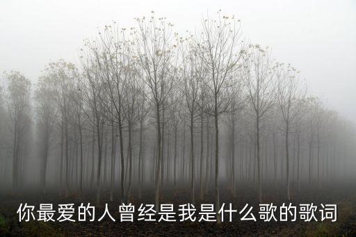 你最爱的人曾经是我是什么歌的歌词
