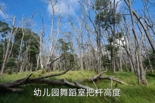 舞蹈室压腿杆多高，幼儿园舞蹈室把杆高度