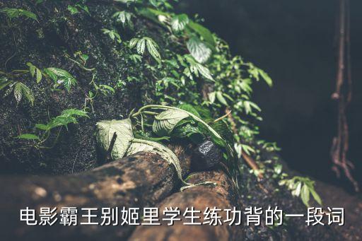 程蝶衣为什么要背错，急求霸王别姬 影评要求原创