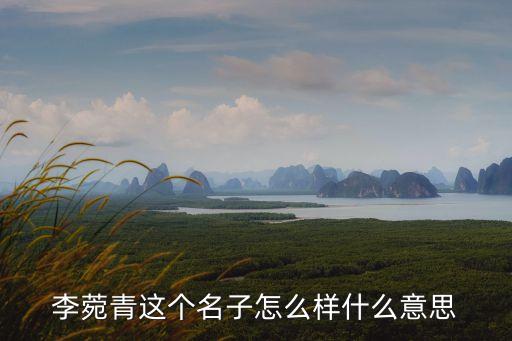 菀儿 有什么好的意思，贲婧莞 贲婧菀 贲婧瑗 贲婧瑶贲婧瑜 贲婧田或者你有更好的也可