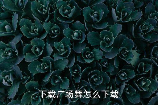下载广场舞怎么下载