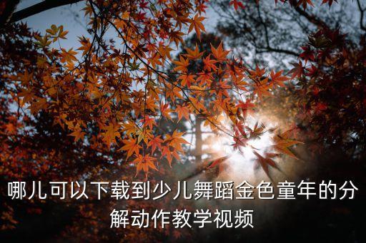 哪儿可以下载到少儿舞蹈金色童年的分解动作教学视频