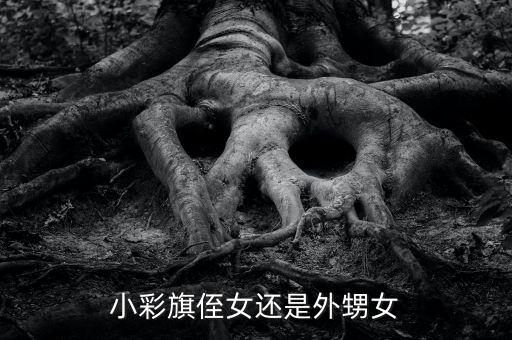 小彩旗侄女还是外甥女