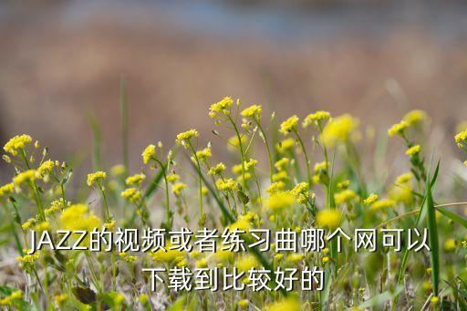 JAZZ的视频或者练习曲哪个网可以下载到比较好的