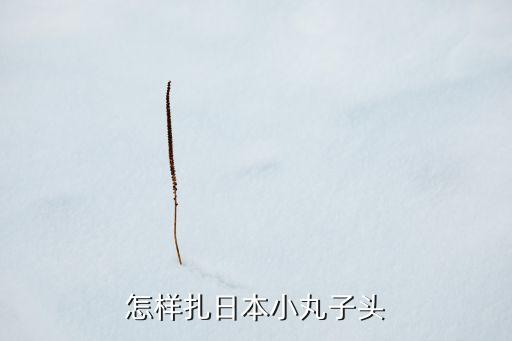 怎样扎日本小丸子头