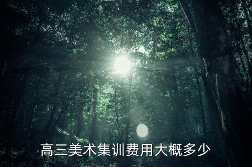 四川高三美术集训费用大概多少，普高的美术艺体生去培训需要多少钱我在四川仪陇马鞍中学老师说