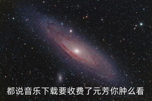 都说音乐下载要收费了元芳你肿么看