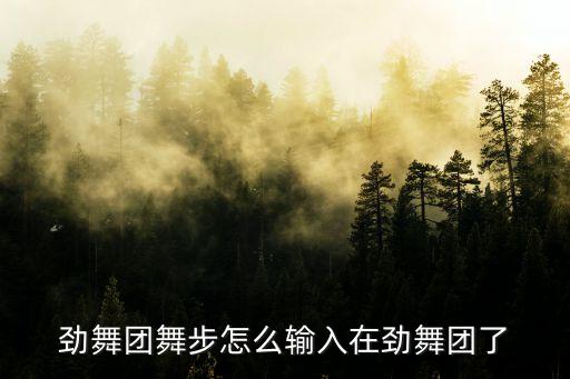 劲舞团舞步怎么输入在劲舞团了