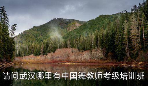 请问武汉哪里有中国舞教师考级培训班