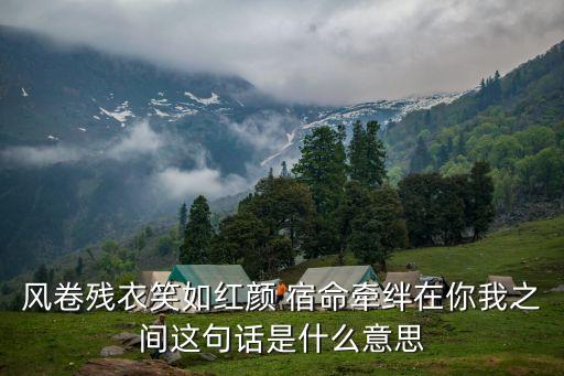 风卷残衣笑如红颜 宿命牵绊在你我之间这句话是什么意思