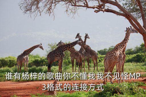 谁有杨梓的歌曲你不懂我我不见怪MP3格式的连接方式
