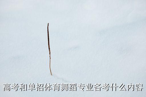 高考和单招体育舞蹈专业各考什么内容
