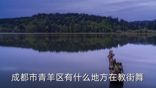 成都市青羊区有什么地方在教街舞