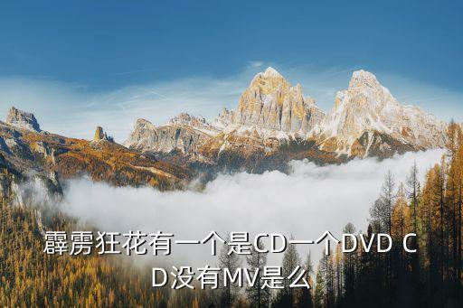 霹雳狂花有一个是CD一个DVD CD没有MV是么