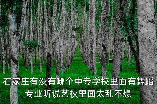 石家庄有没有哪个中专学校里面有舞蹈专业听说艺校里面太乱不想