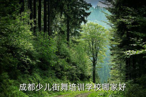 成都少儿街舞培训学校哪家好