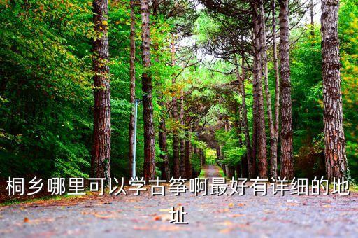 桐乡哪里可以学古筝啊最好有详细的地址