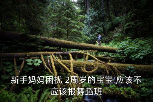 选择舞蹈班注意什么时候，新手妈妈困扰 2周岁的宝宝 应该不应该报舞蹈班