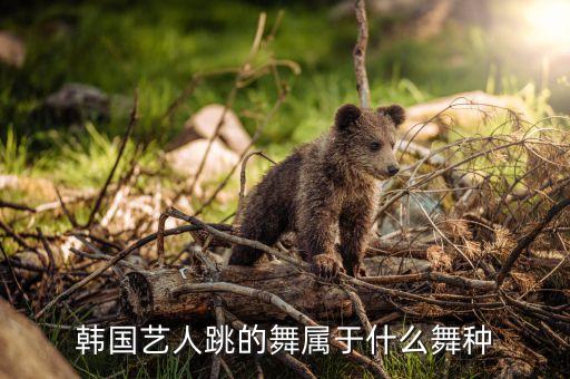 韩国艺人跳的舞属于什么舞种
