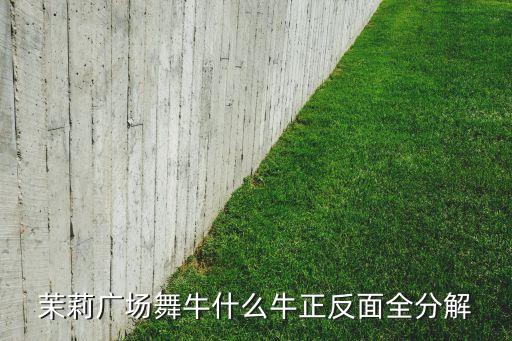 我要看广场舞牛什么牛，糖豆广场舞萱萱牛什么牛