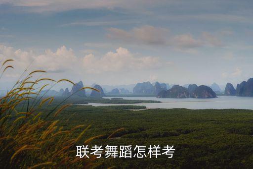 舞蹈艺考生统考考什么，湖南艺术联考舞蹈专业的要考些什么