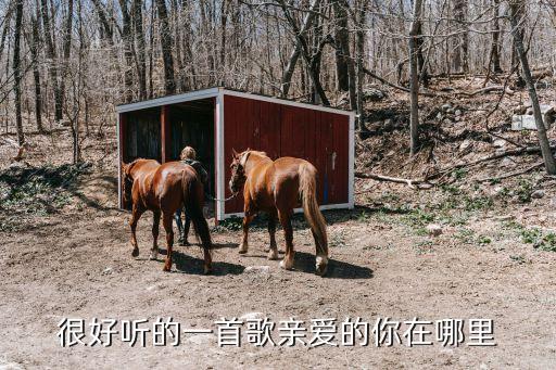 广场亲爱的你在哪里杨丽苹，小青广场舞曲亲爱的你在哪里