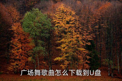 广场舞油菜花之恋歌曲怎么下载，怎样把格格油菜花之恋下载到内存卡里