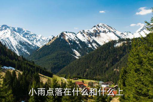 小雨点落在什么和什么上