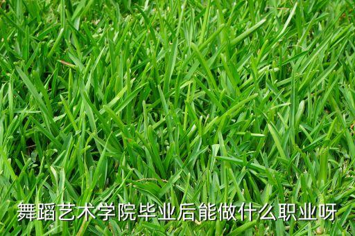 舞蹈艺术学院毕业后能做什么职业呀